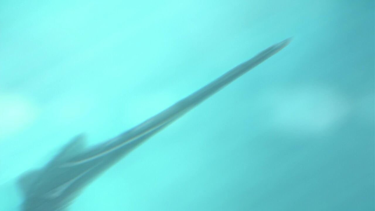 Géante bleue I