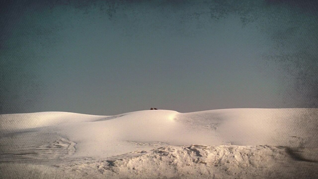 Désert de sable