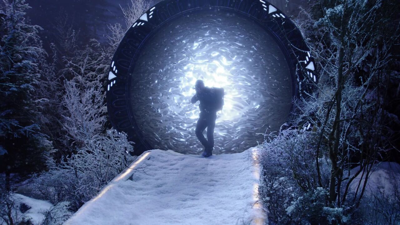 Forêt enneigée