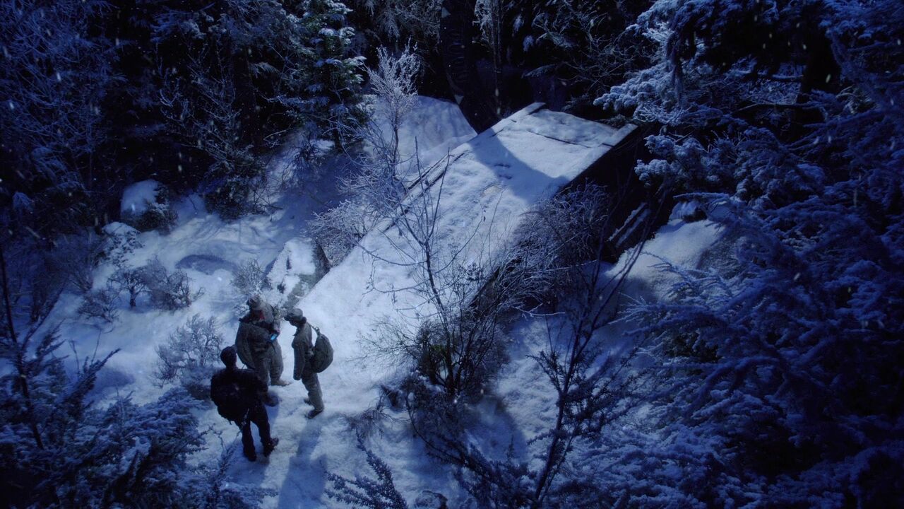 Forêt enneigée