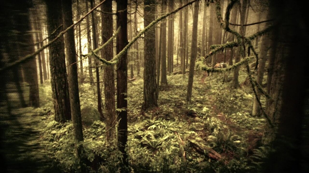 Terrain de chasse