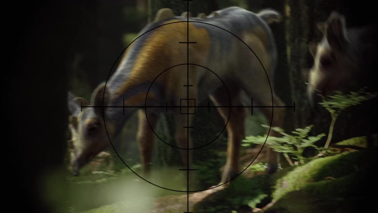 Terrain de chasse