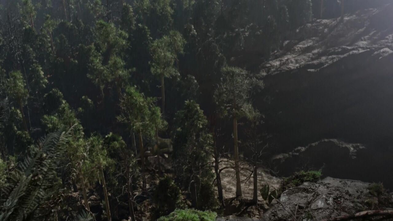 Terrain de chasse
