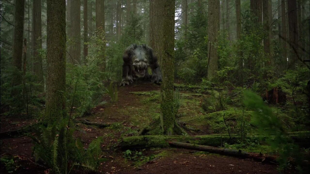 Terrain de chasse