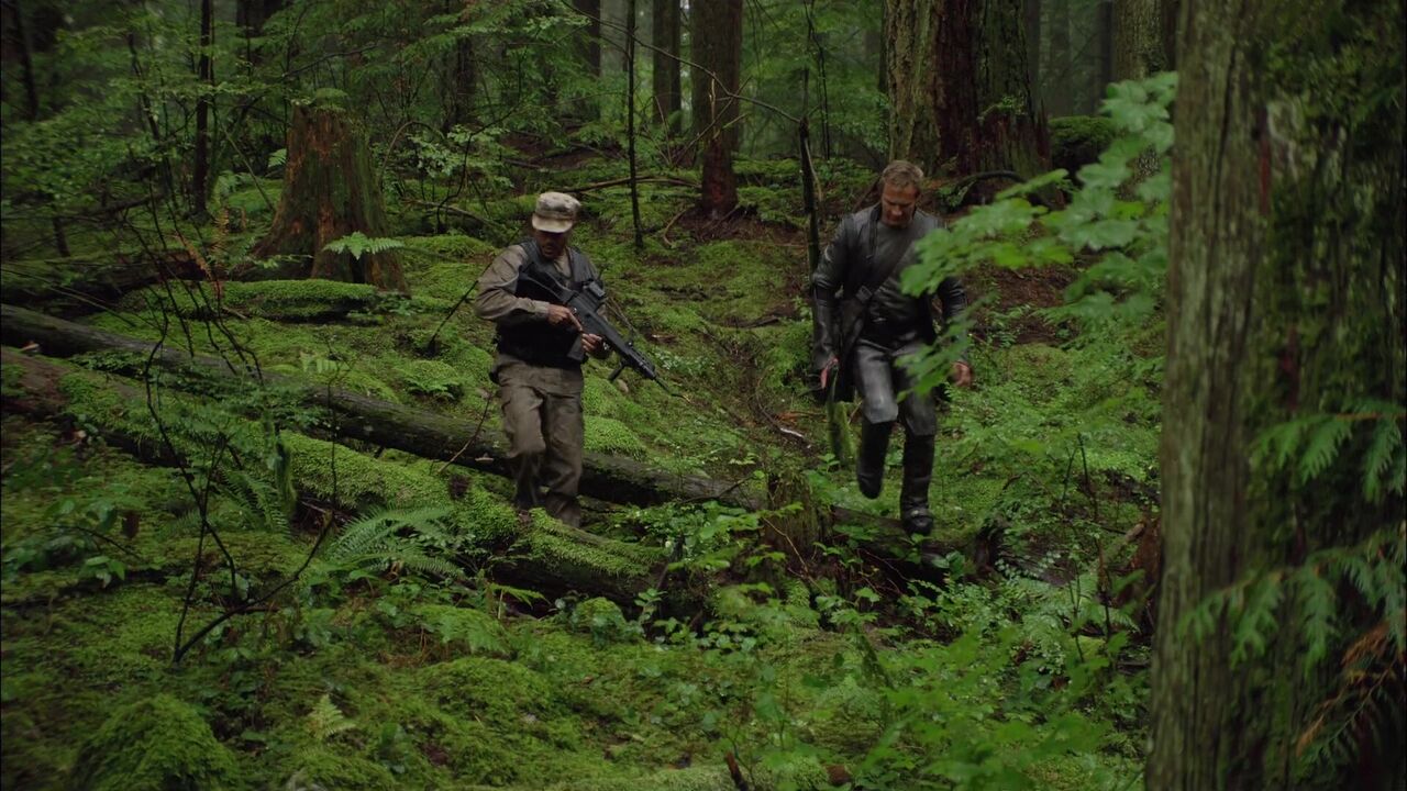 Terrain de chasse