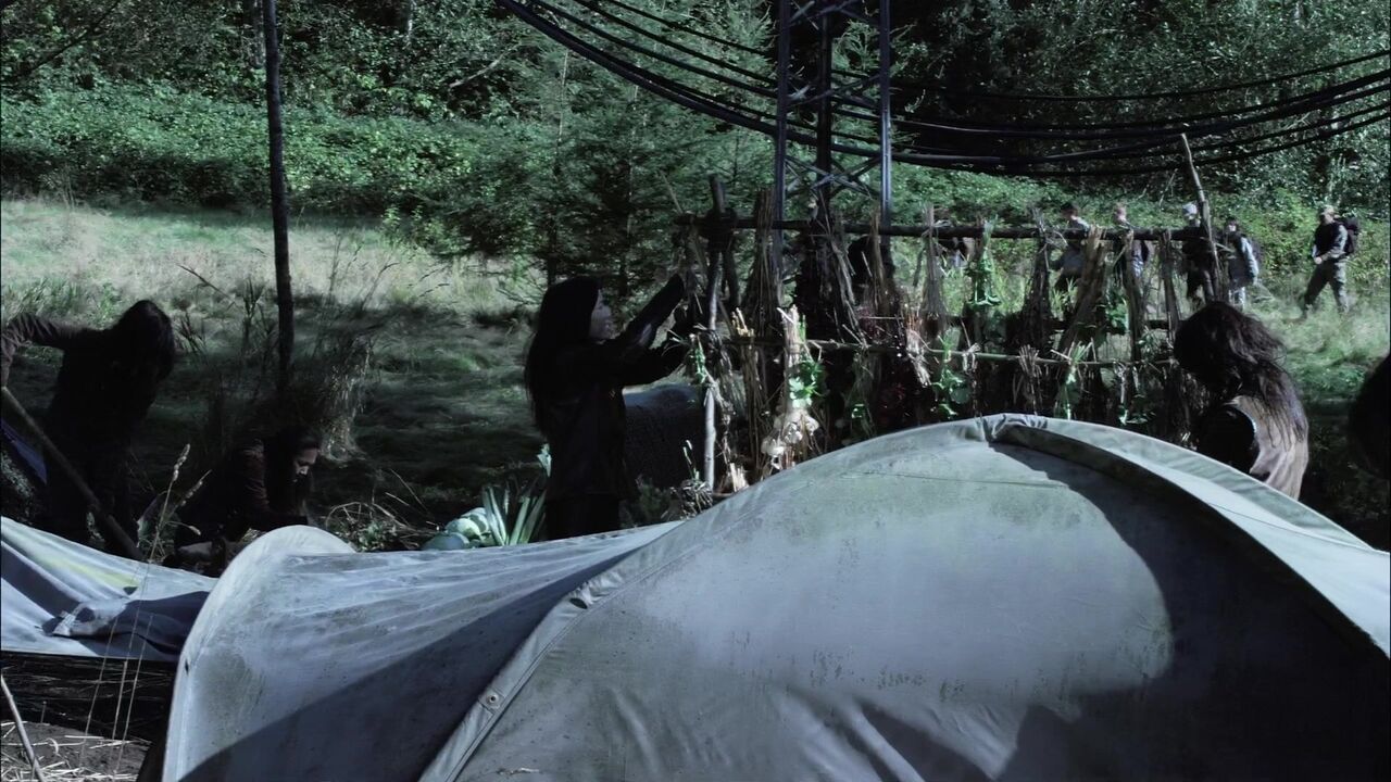 Campement novusien