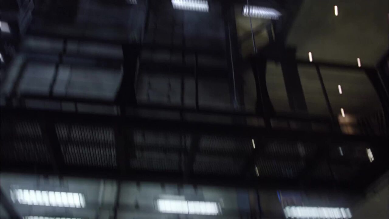 Novus