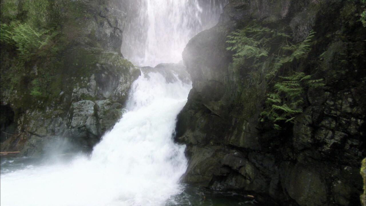 Talus