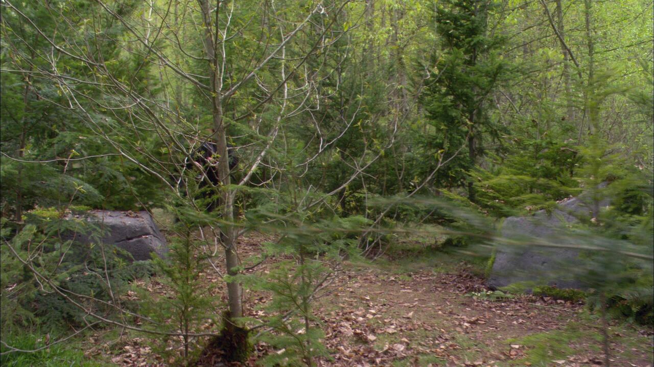 Site de la capture de Sheppard