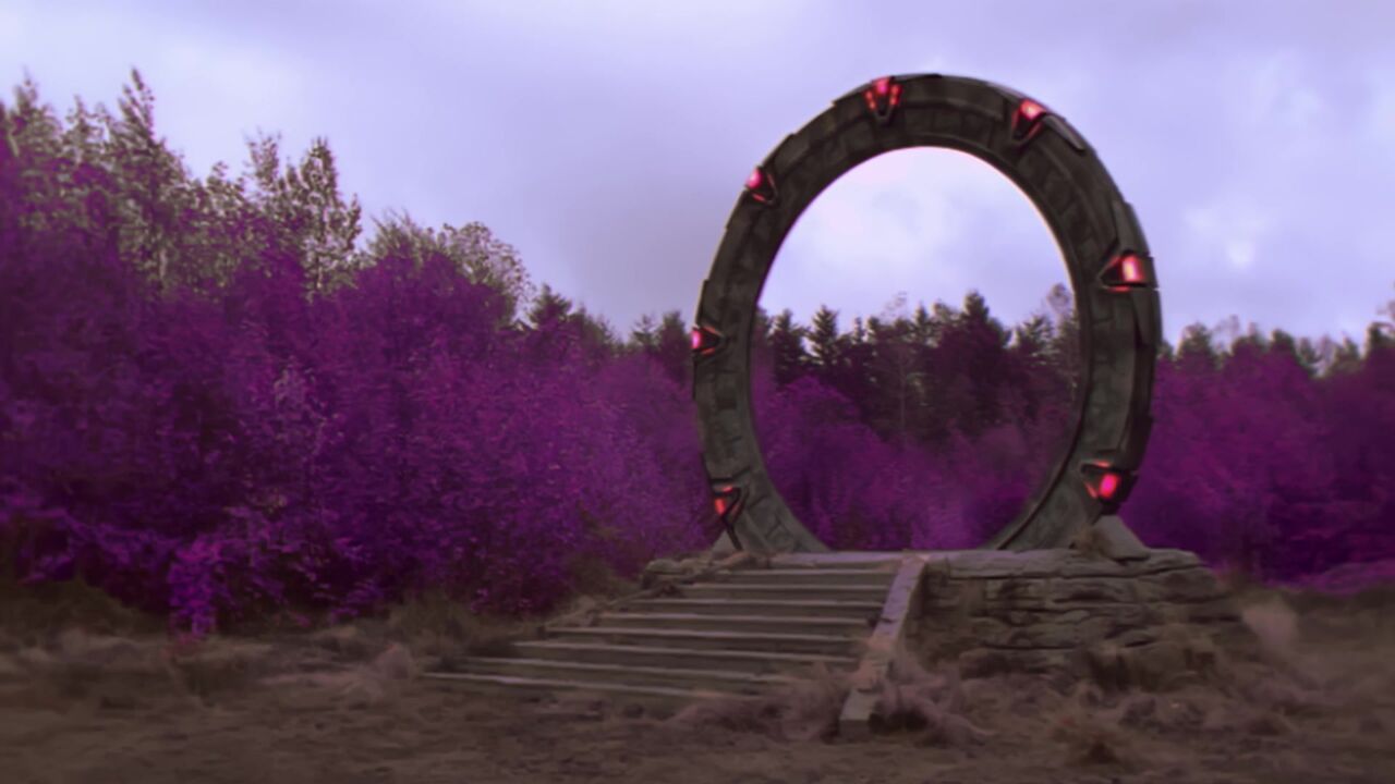Forêt mauve