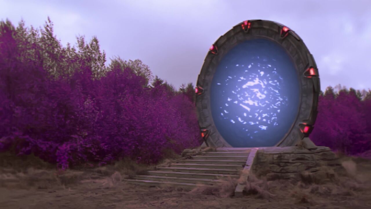 Forêt mauve