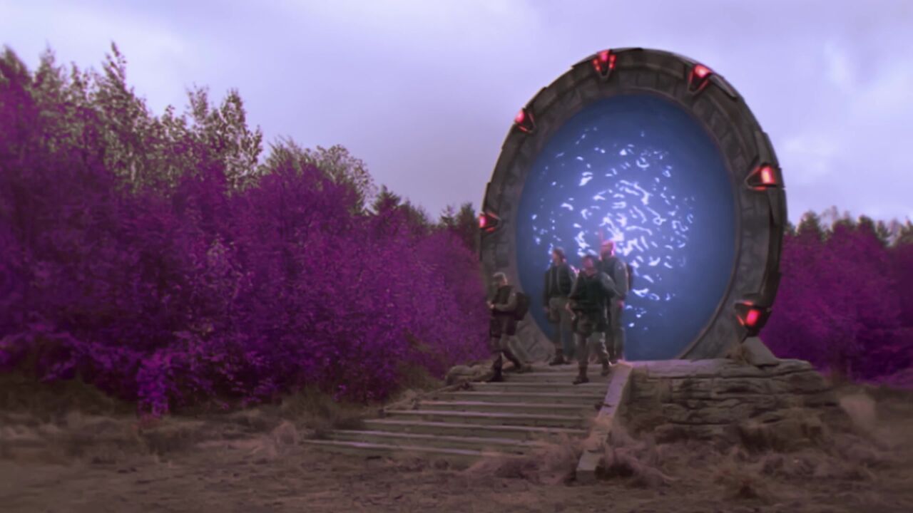 Forêt mauve