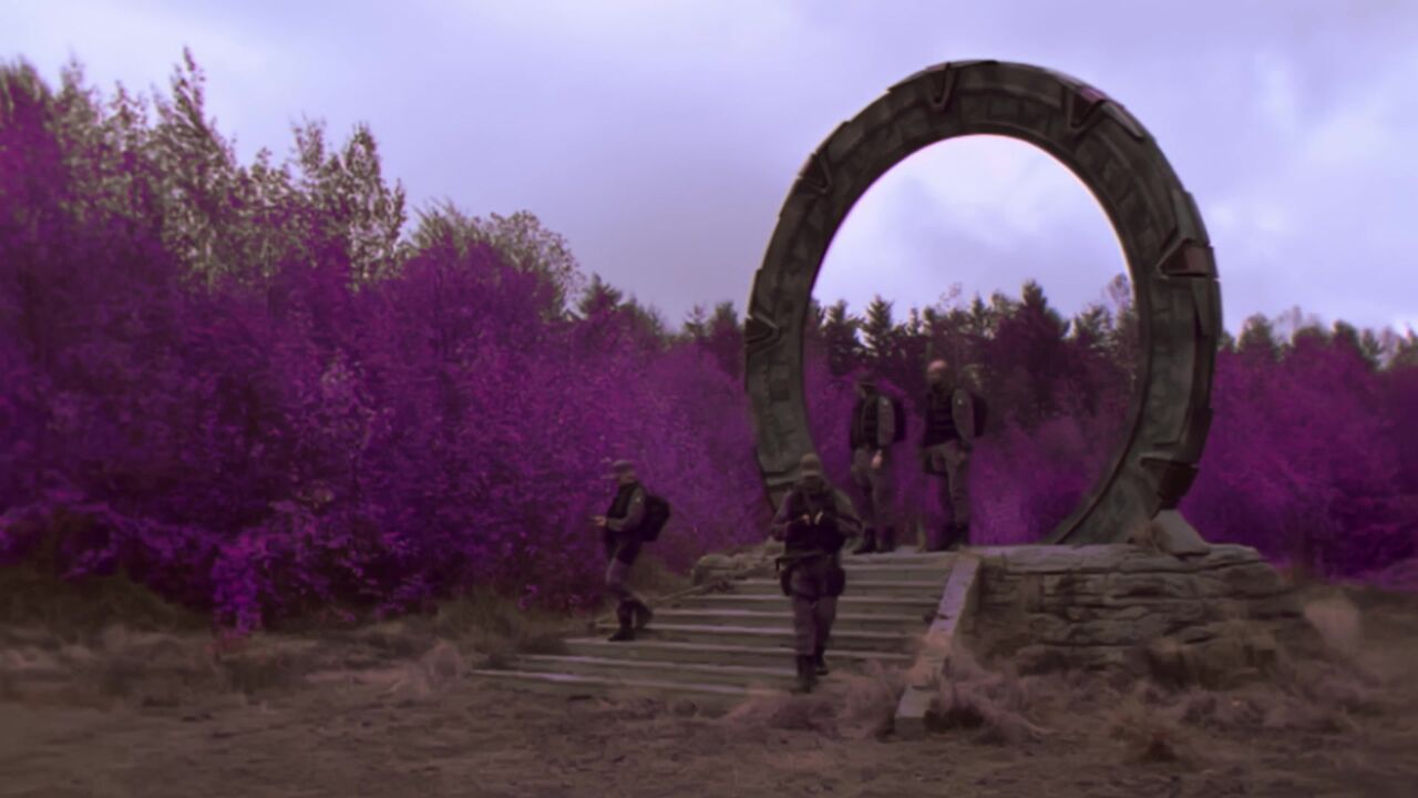 Forêt mauve