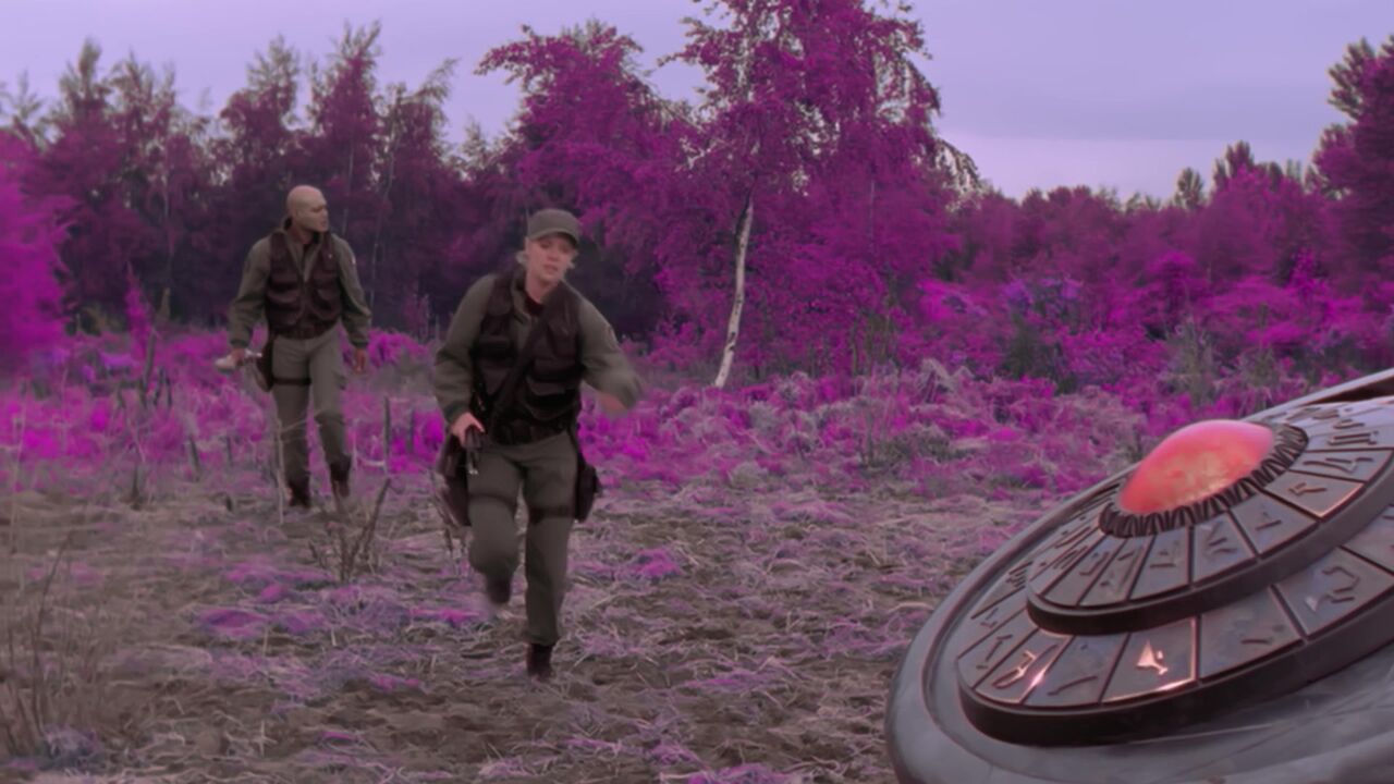 Forêt mauve