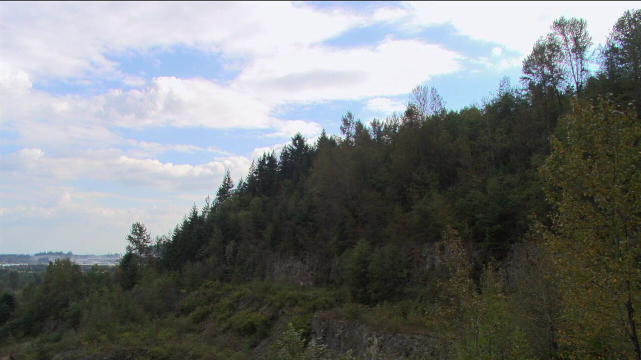 Site Gamma I