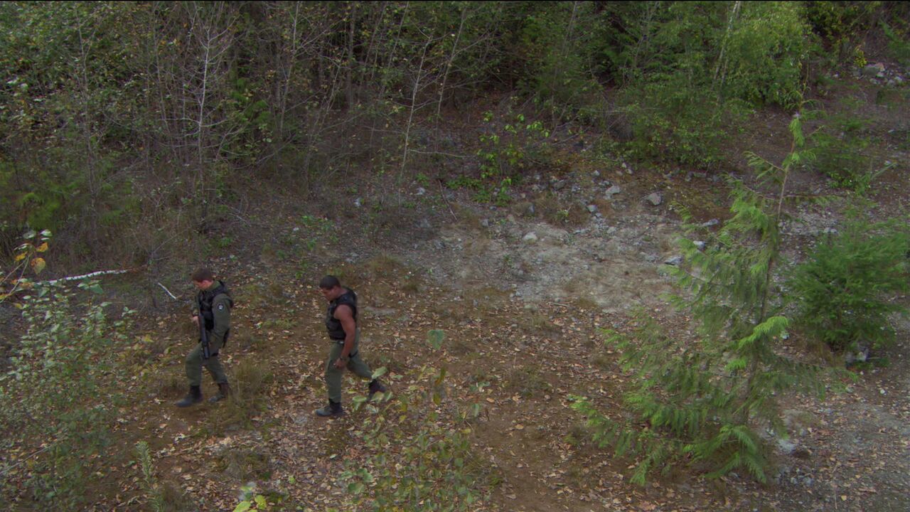 Site Gamma I