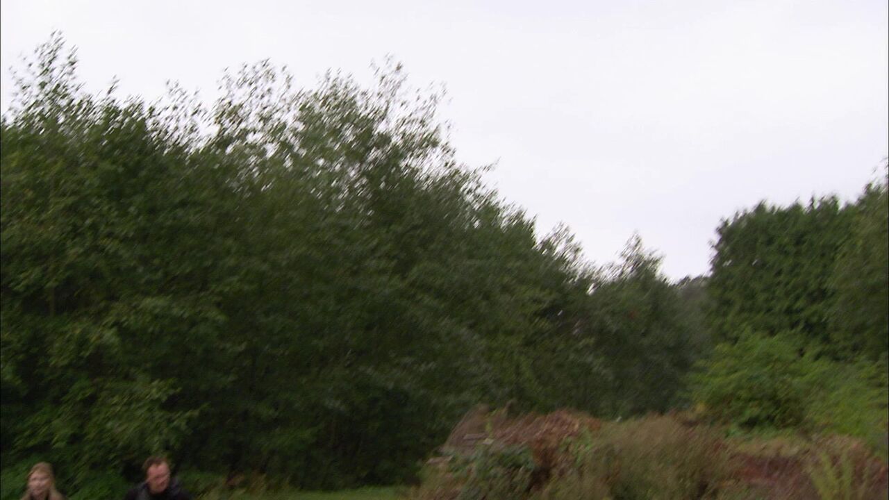 M5V-801