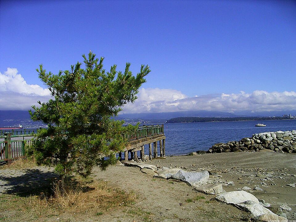Jericho Beach
