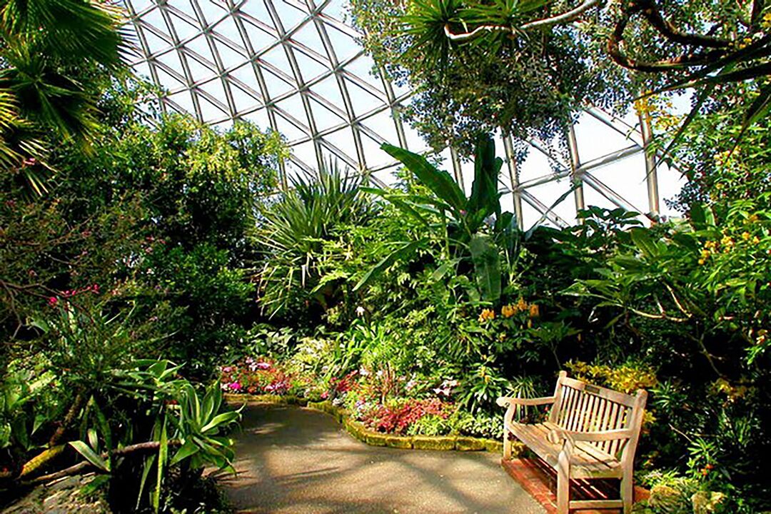 Bloedel Conservatory