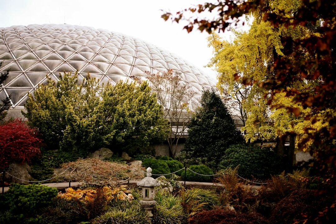 Bloedel Conservatory