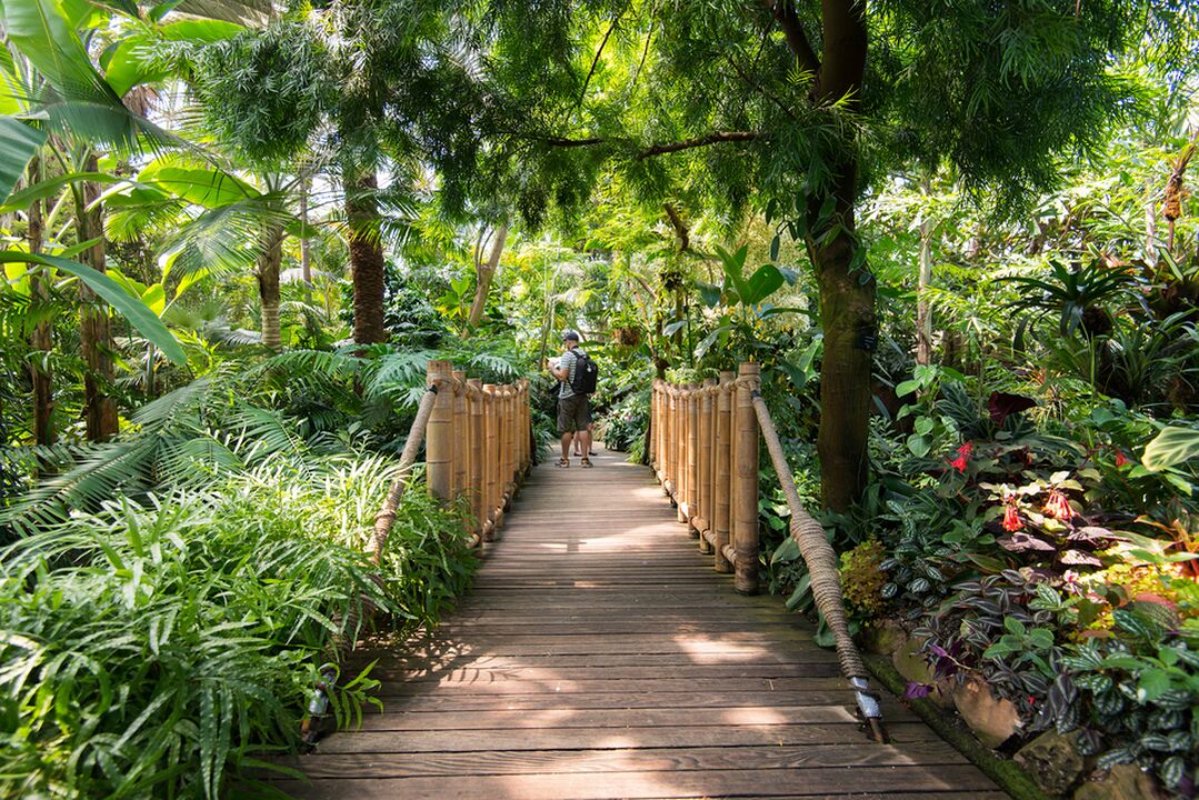 Bloedel Conservatory