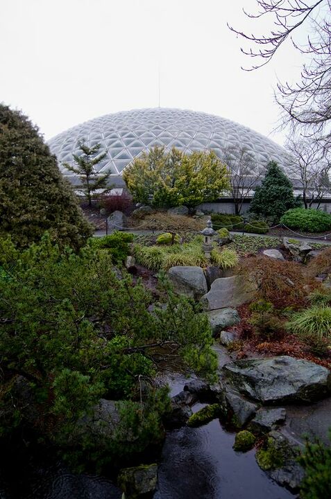 Bloedel Conservatory