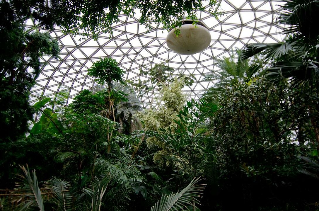 Bloedel Conservatory