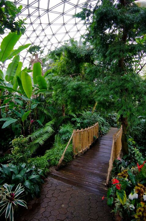 Bloedel Conservatory