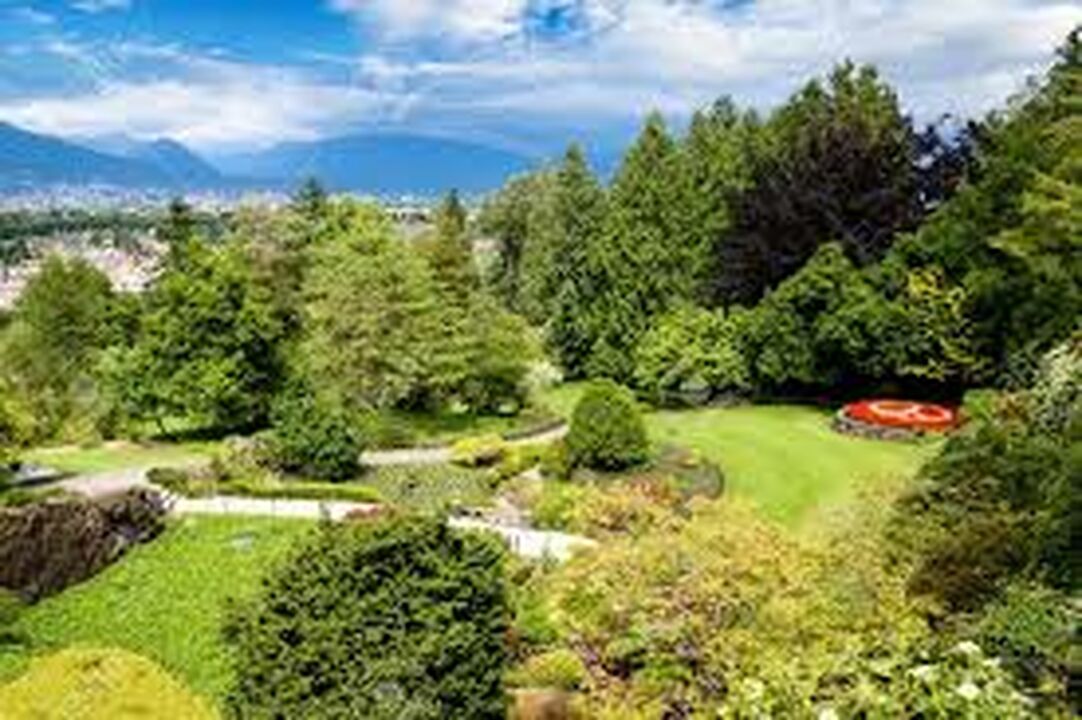 Queen Elizabeth Park