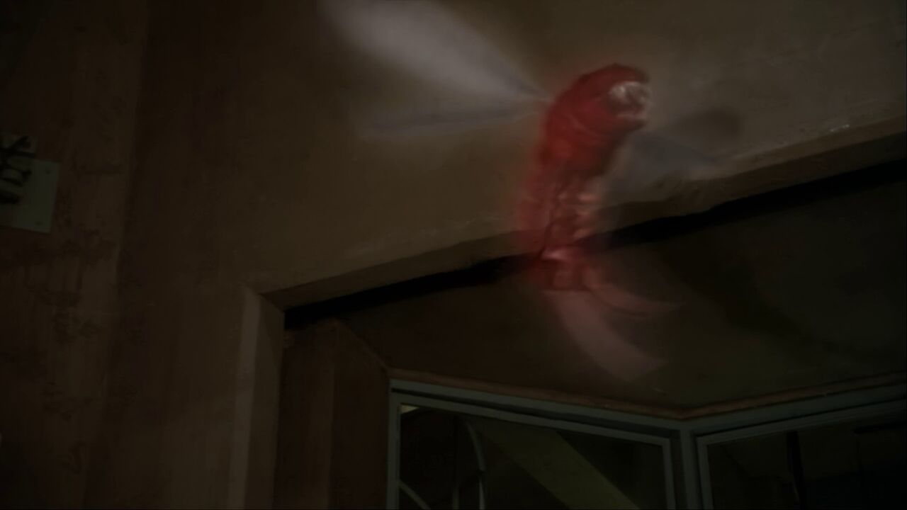 Insectes volants extradimensionnels