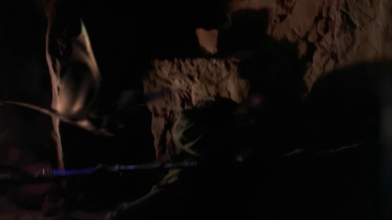 Chauve-souris de P2X-416