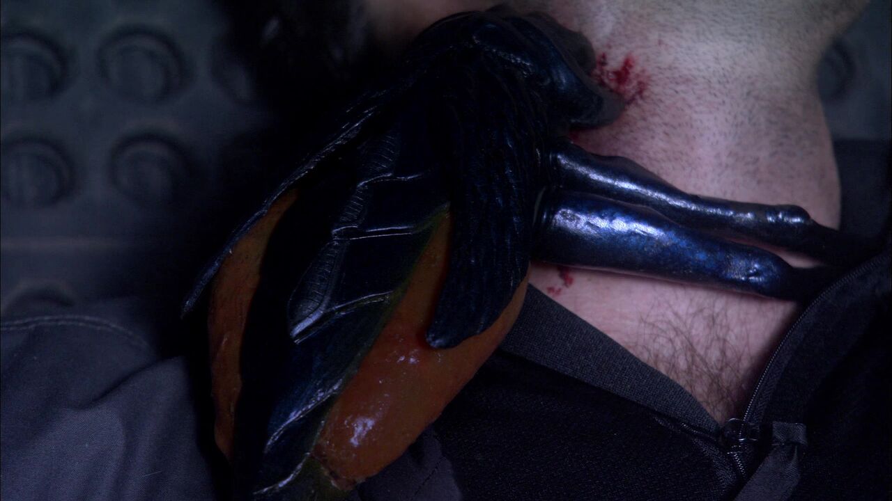 Ectoparasites