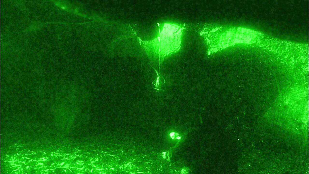 Ectoparasites