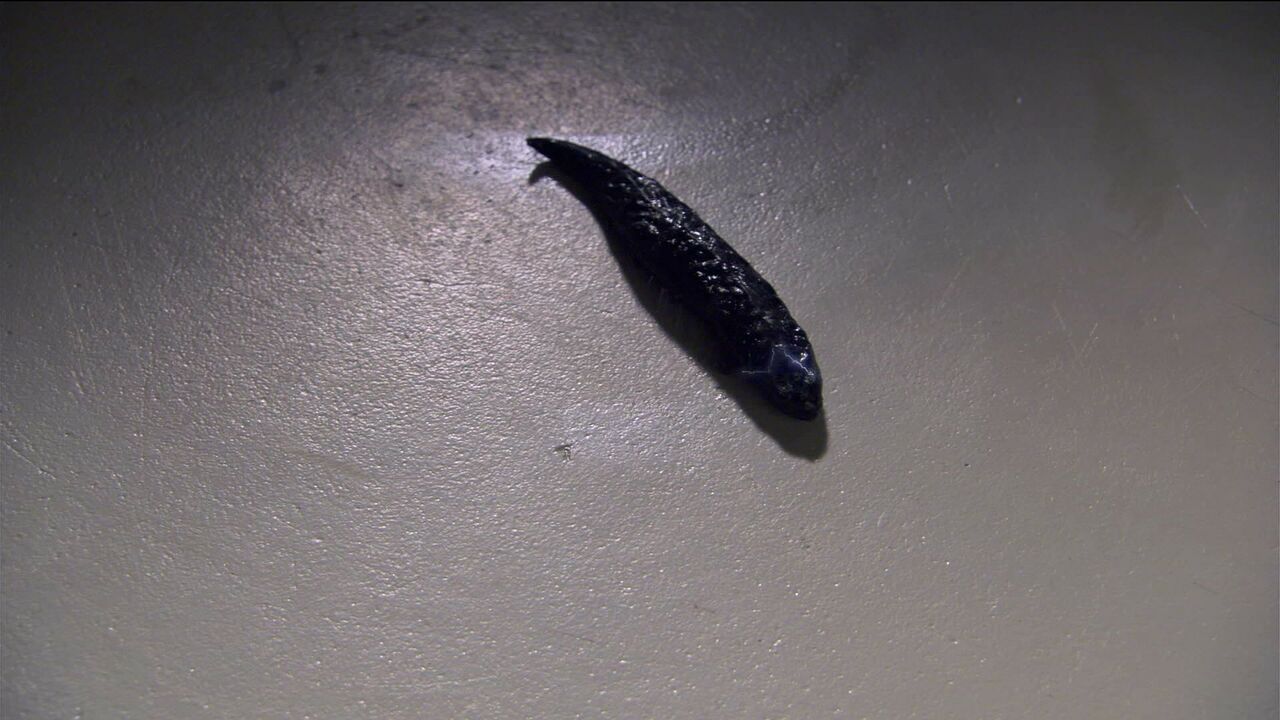Parasites interdimensionnels