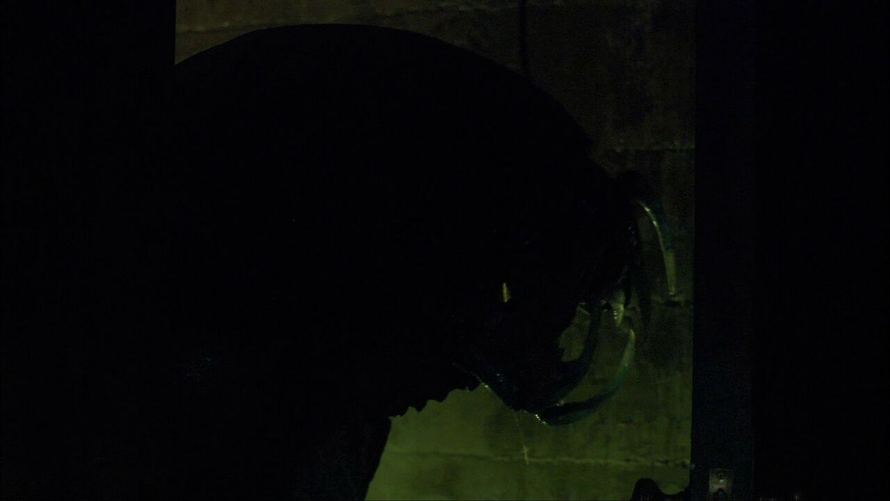 Ectoparasites humanoïdes