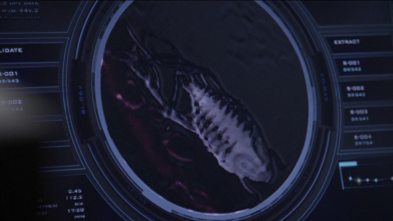 Parasite du sommeil
