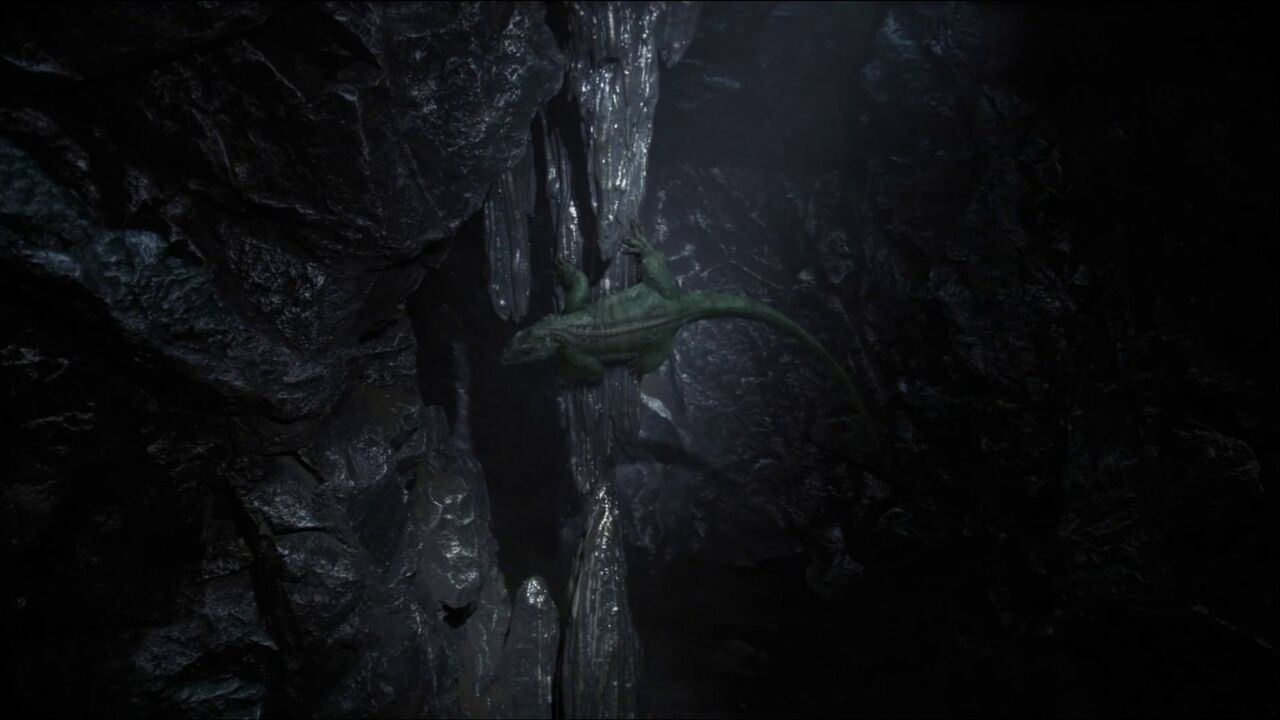Lézard de Vagonbrei