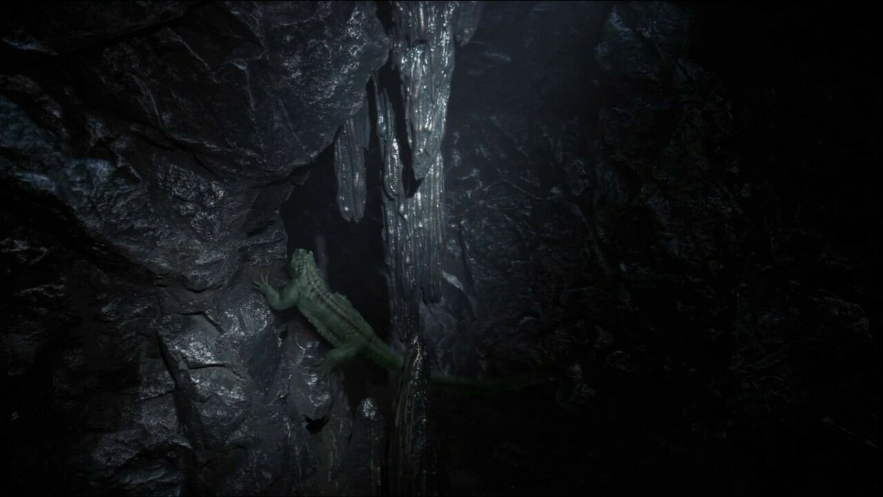 Lézard de Vagonbrei