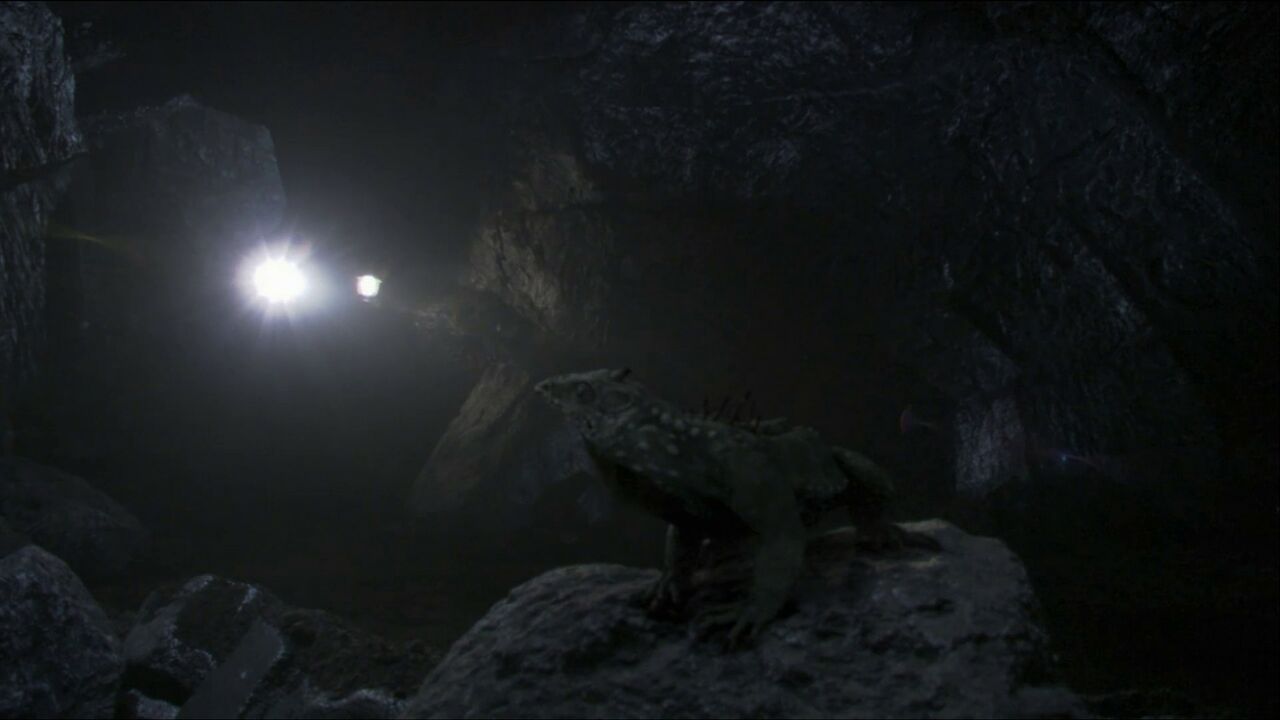 Lézard de Vagonbrei