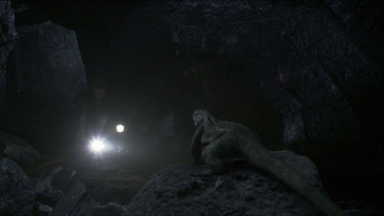 Lézard de Vagonbrei