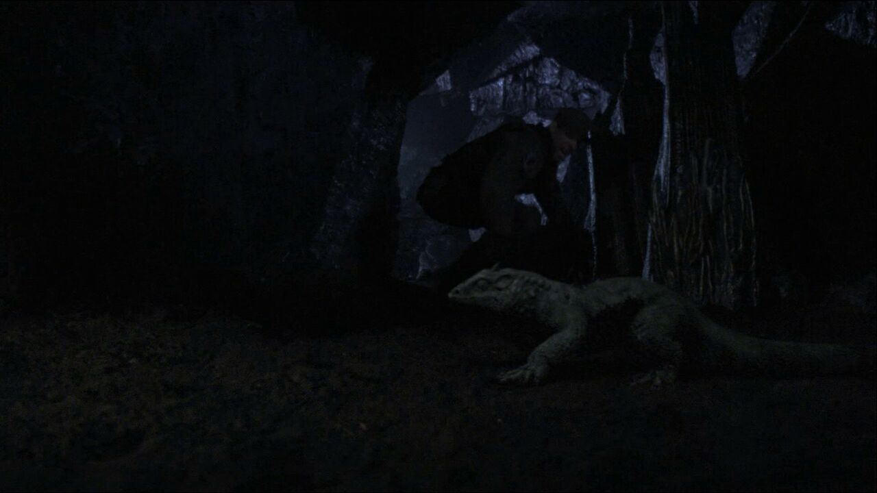 Lézard de Vagonbrei