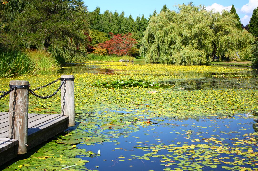 Van Dusen Botanical Garden