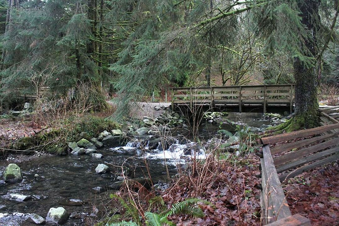 Tynehead Park