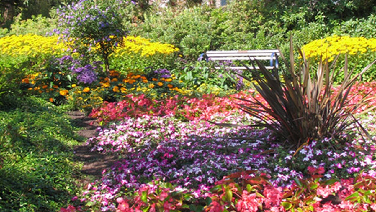 Shadbolt Center Century Gardens
