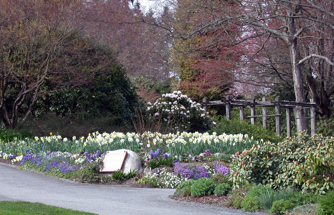 Shadbolt Center Century Gardens
