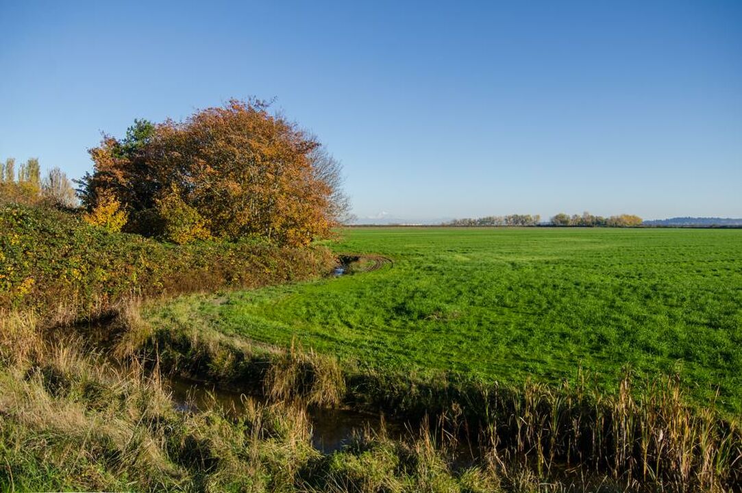 Brunswick Point Farm