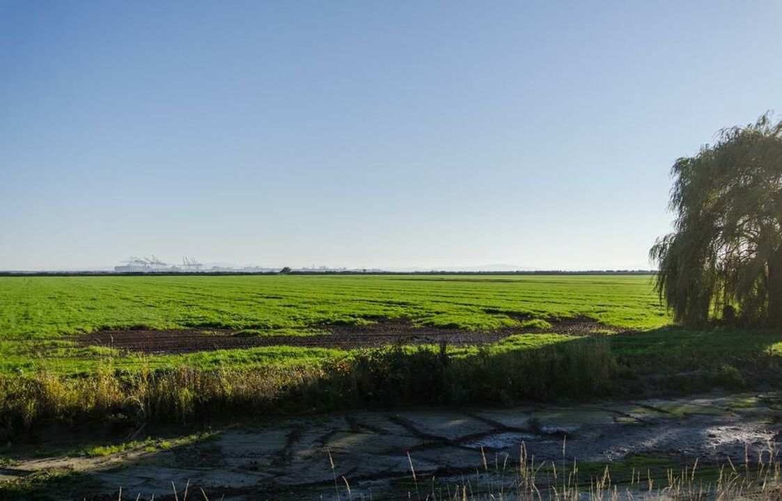 Brunswick Point Farm