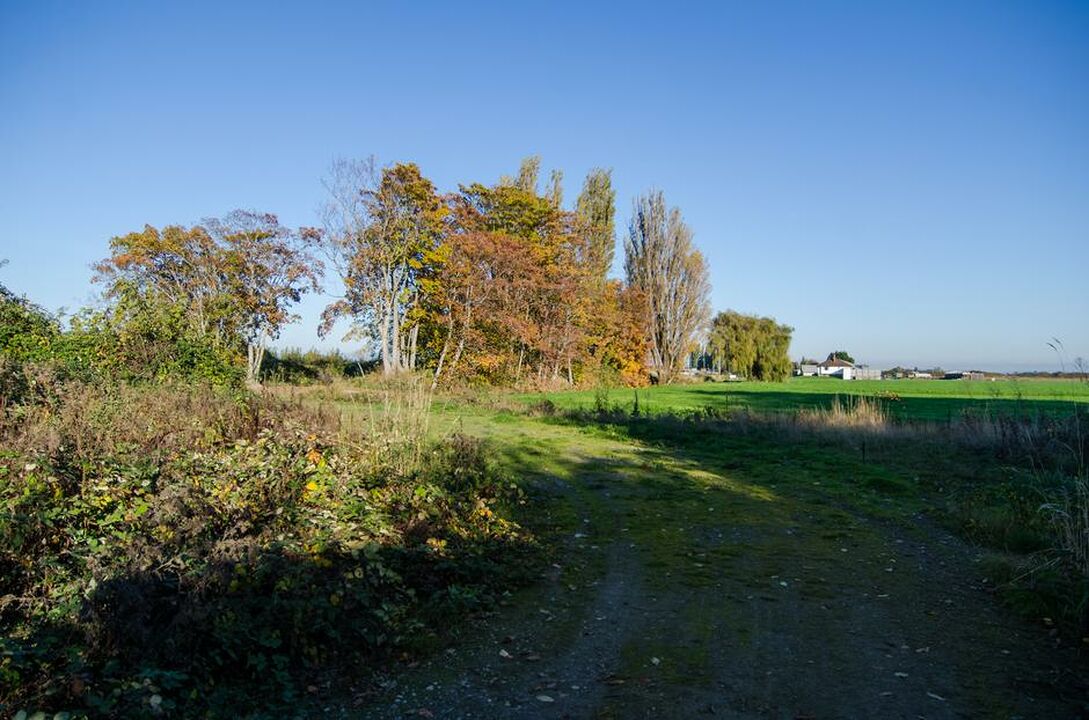 Brunswick Point Farm