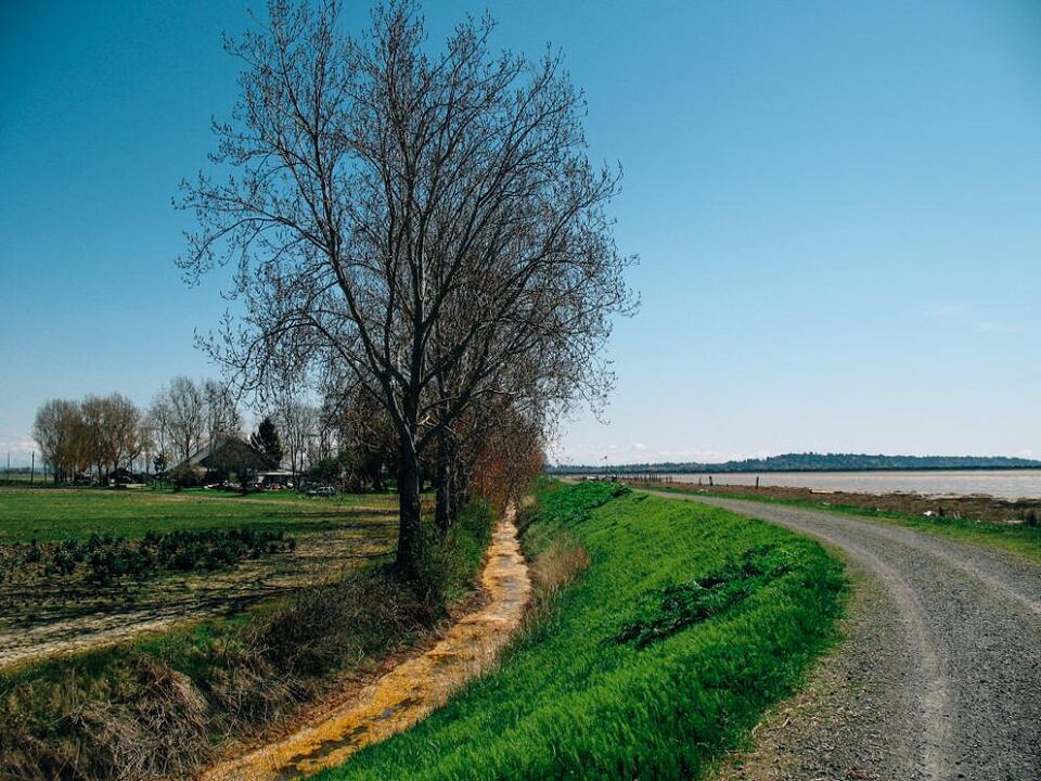 Brunswick Point Farm