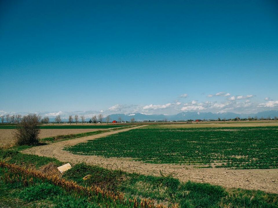 Brunswick Point Farm